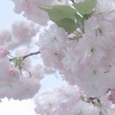 Furry绘画光影技巧FurryQQ群